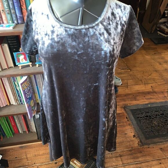 Z Supply Dresses & Skirts - Z Supply silvery gray L flowy velvet a-line party mini dress